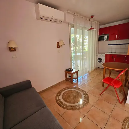 Superbe T1 29m2 Au Cœur De Appartement